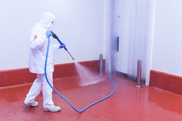 Reliable Audubon Park, NJ Pressure Washing Services Solutions